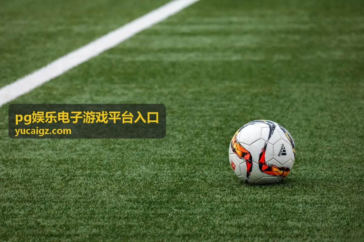 pg娱乐电子游戏平台入口最新动态封面