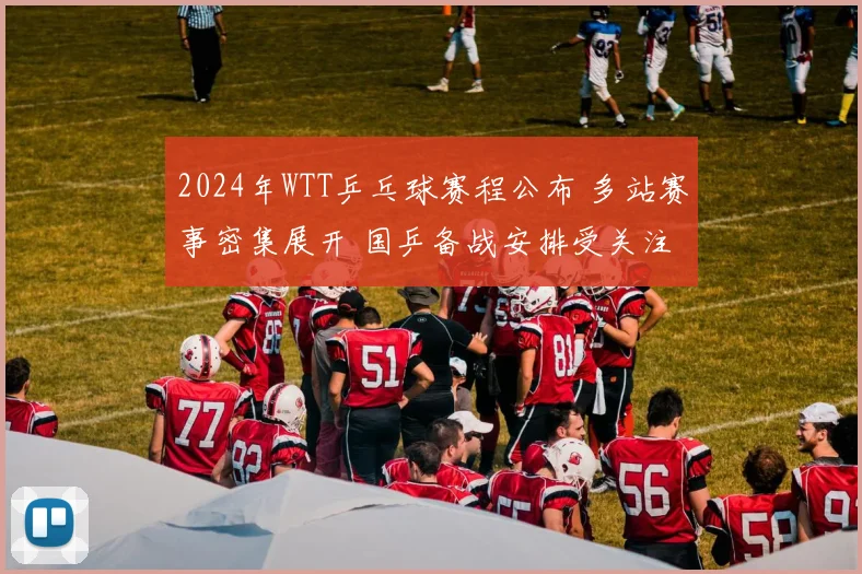 2024年WTT乒乓球赛程公布 多站赛事密集展开 国乒备战安排受关注