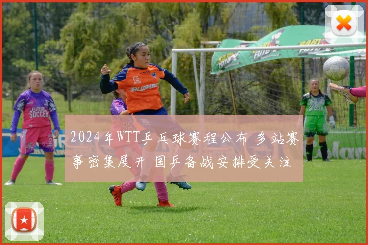 2024年WTT乒乓球赛程公布 多站赛事密集展开 国乒备战安排受关注