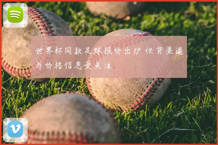 世界杯同款足球报价出炉 供货渠道与价格信息受关注