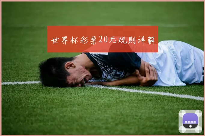 世界杯彩票20元规则详解