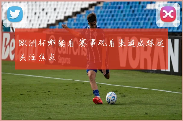 欧洲杯哪能看 赛事观看渠道成球迷关注焦点